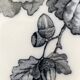 6 Longwy plates model Flowers