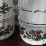Villeroy & Boch ramekins Botanica