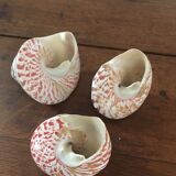 Lot 3 trocas gasteropod shells.