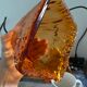 Set of two amber glass hanging lamps