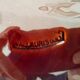 "Old fruit bowl 'Shell' Vallauris"