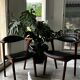 Pair of Danish teak armchairs by Erik Kirkegaard, 1950s