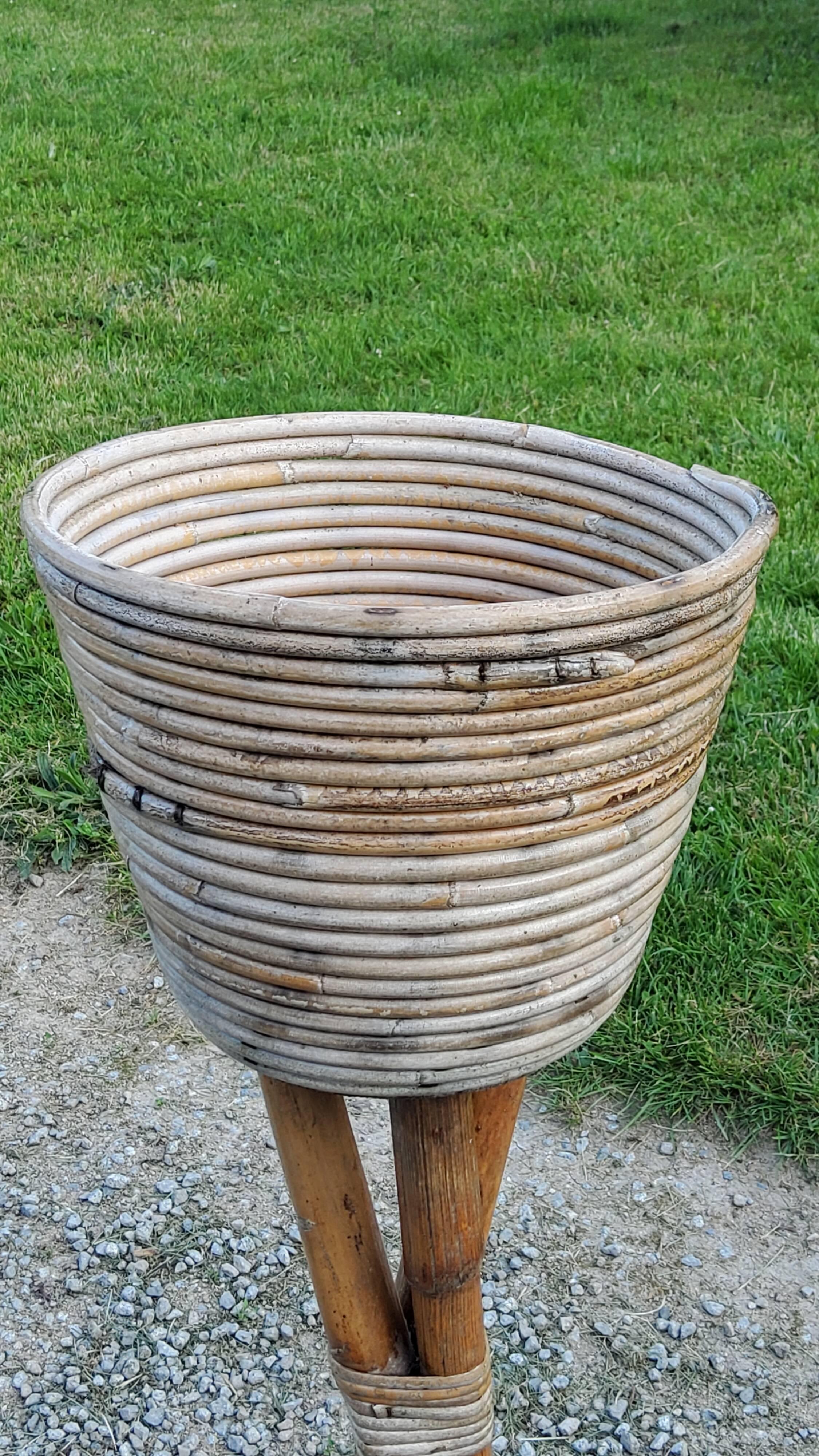 Rattan and bamboo plant holder from the 50s