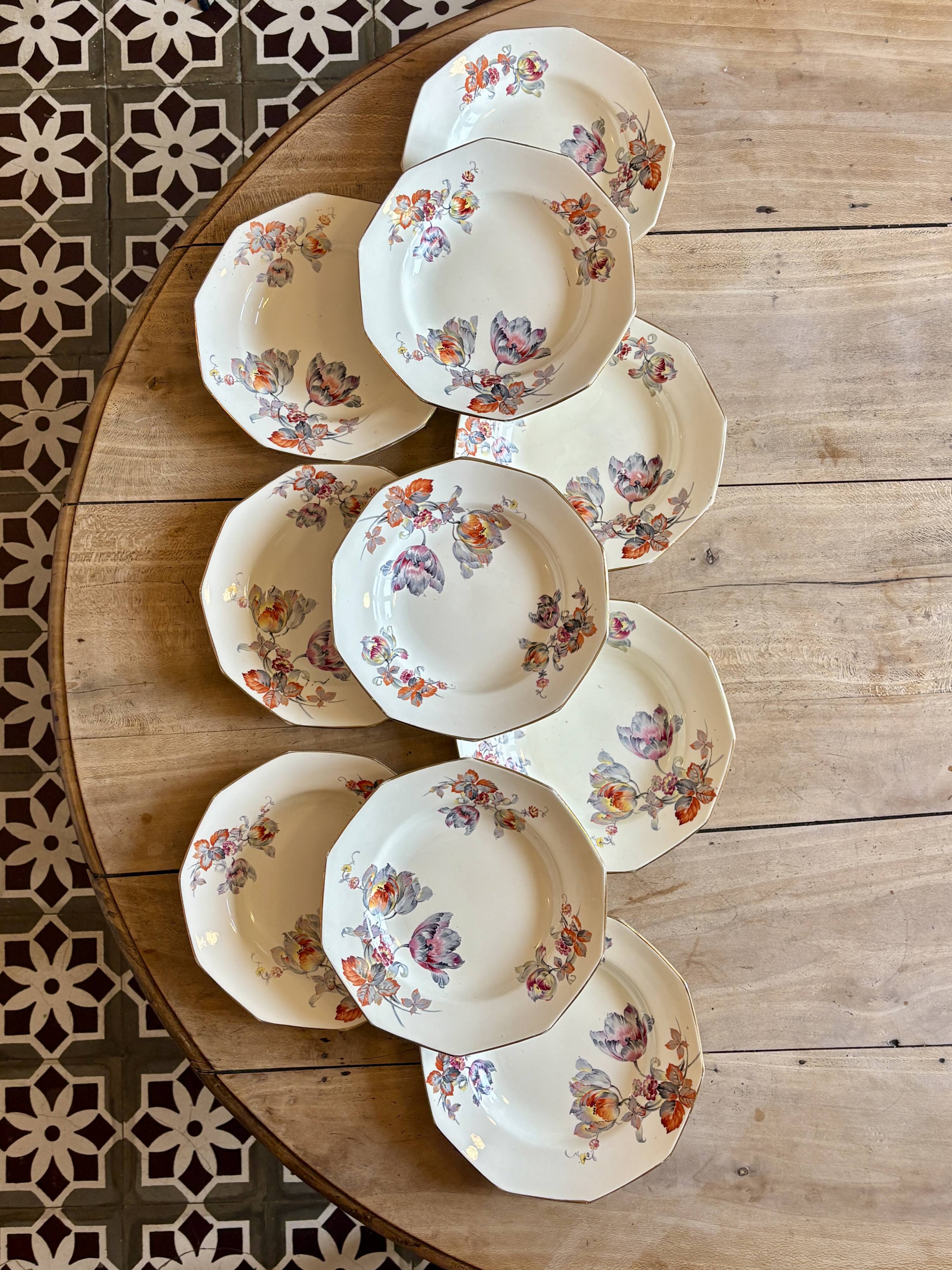 Set of 10 old hollow plates - Saint Amand in iron earth