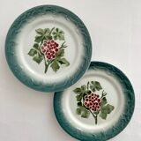 2 antique Pexonne earthenware dessert plates with grapes