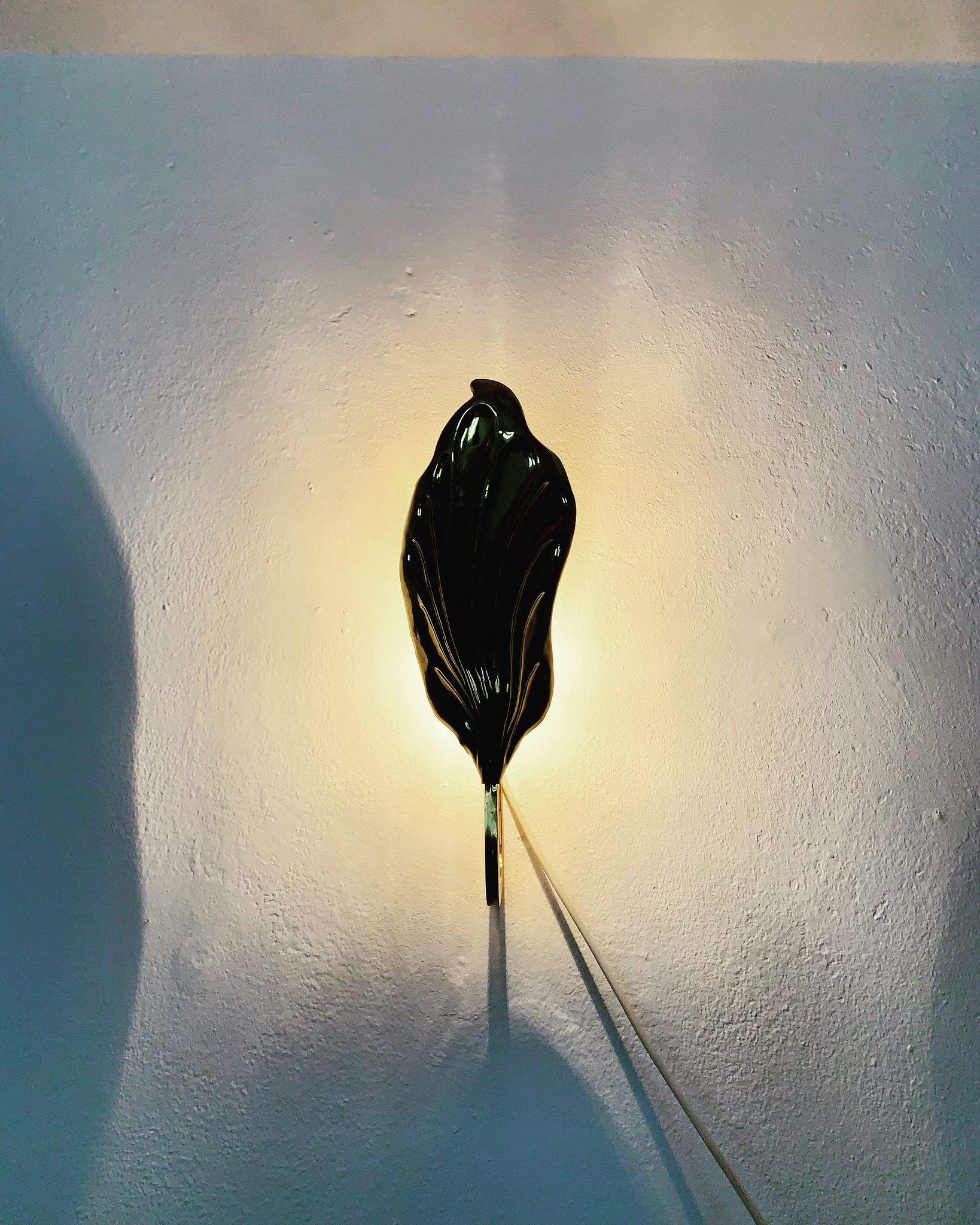 Set of 2 italian Mid Century Modern brass leaf shaped wall lamps by Tommaso Barbi
