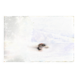 Watercolor painting by G. GIRARDOT (1856-1914) Lake Chevillon dated 1903