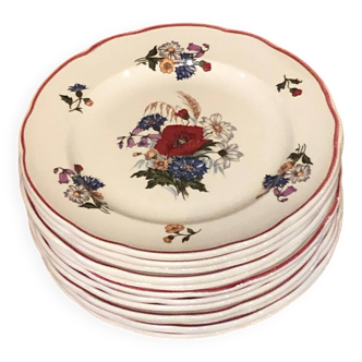 Lot de 12 assiettes Sarreguemines