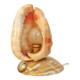 Shell lamp