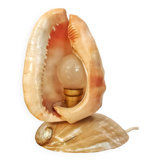 Shell lamp