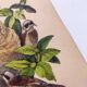 Original Engraving from 1839 -Remiz- Old hand-colored plate ornithology and birds