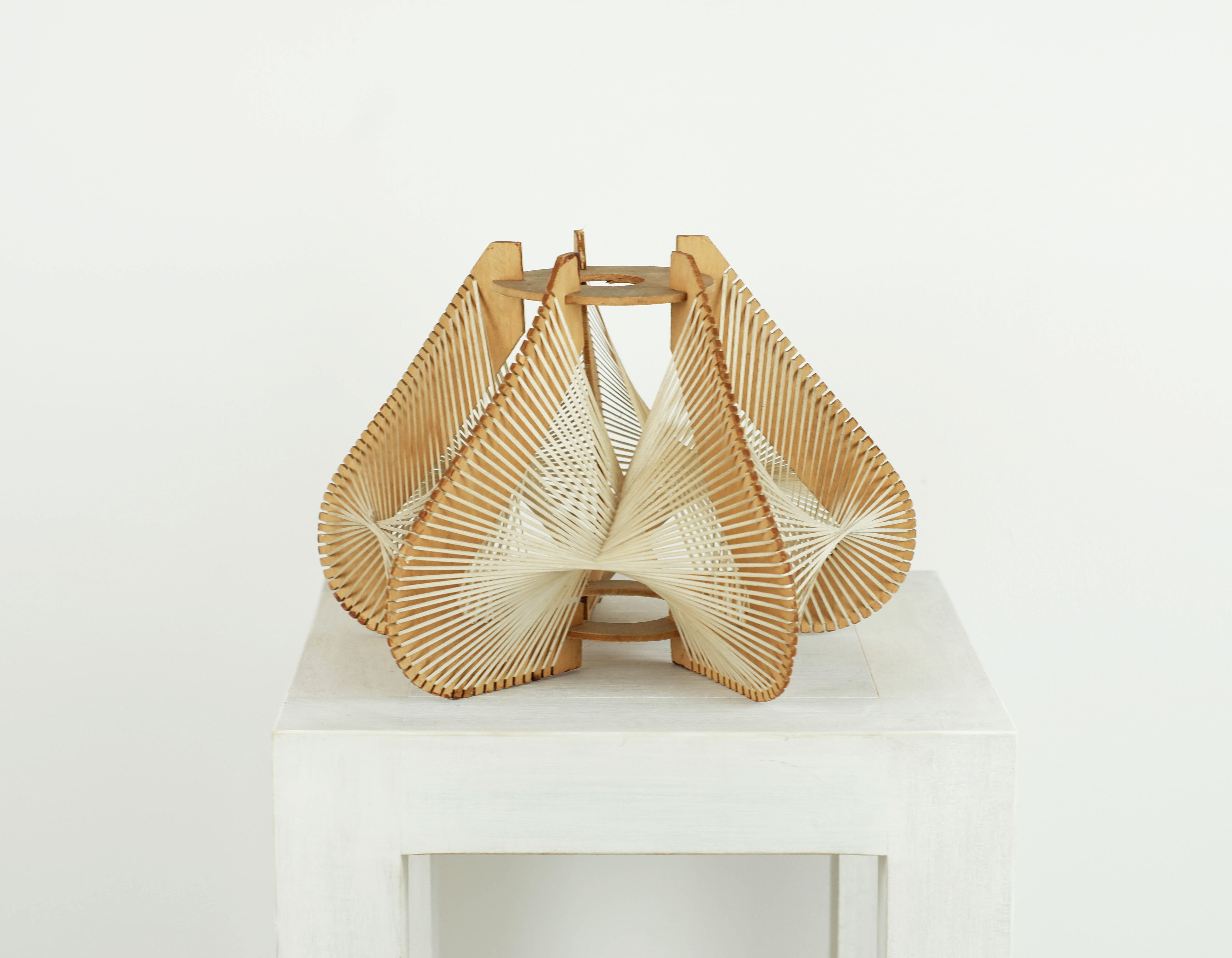 Lampshade for suspension in wire and wood