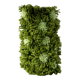 Vase Fleurs Vert