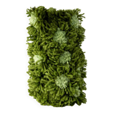 Vase Fleurs Vert