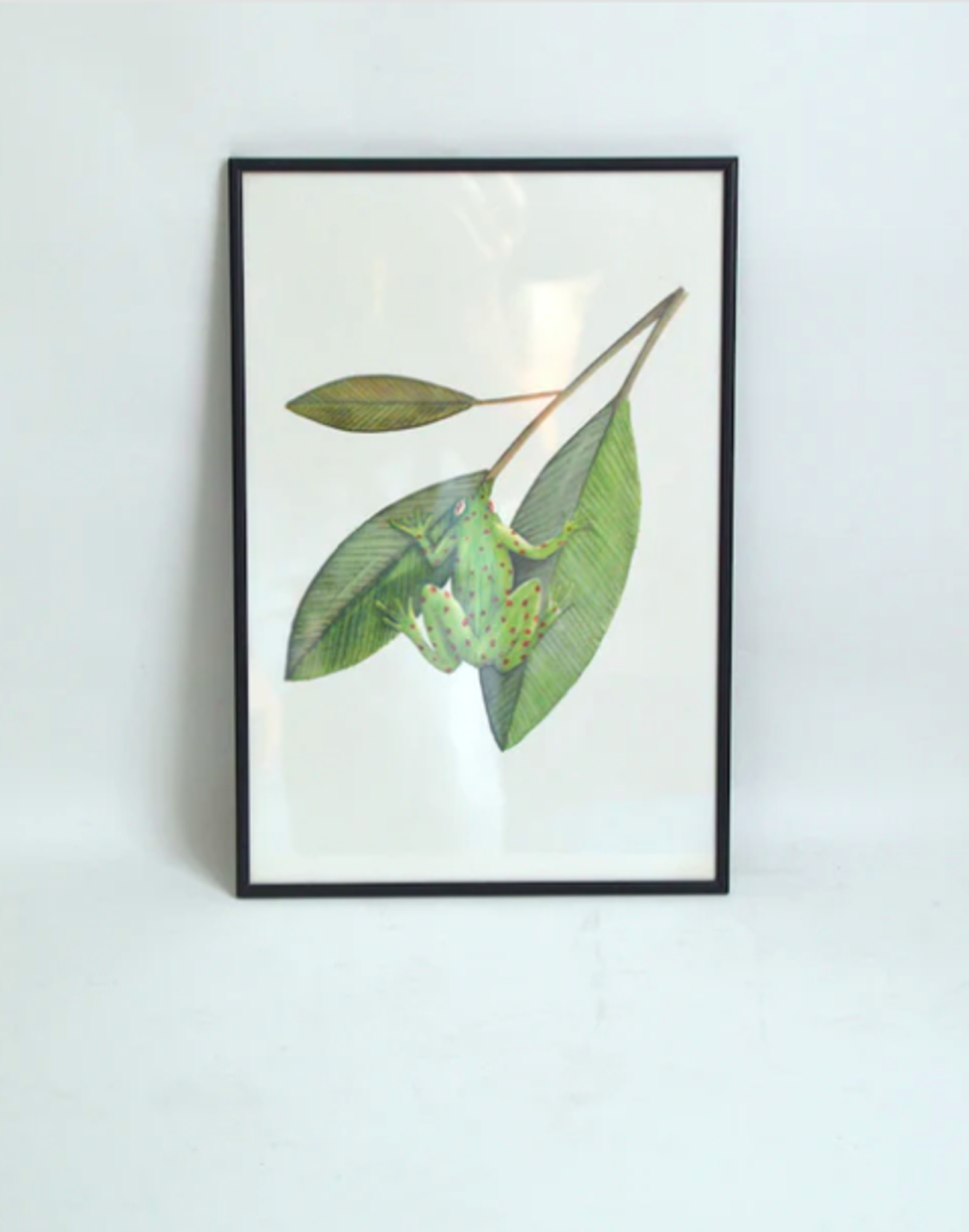 Illustration