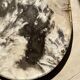 Very large pocket or dish in petrified wood