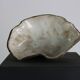 Fat Lava oyster bowl with 5th leg in red