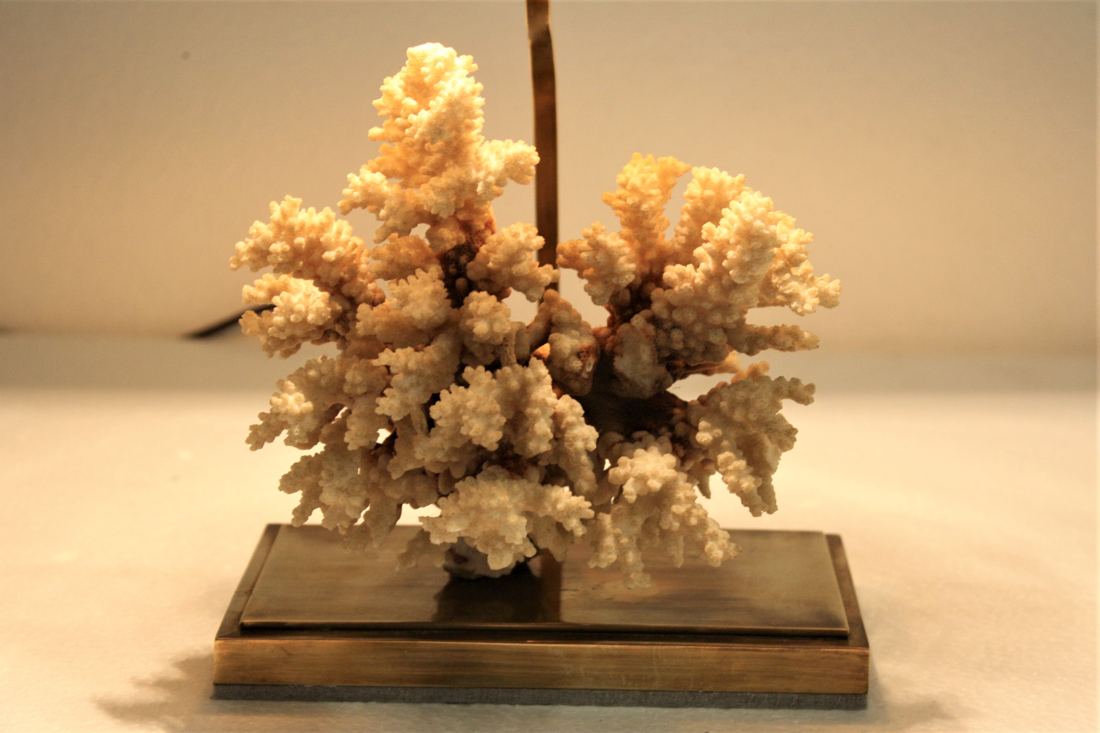 Brass coral table lamp, 1970s