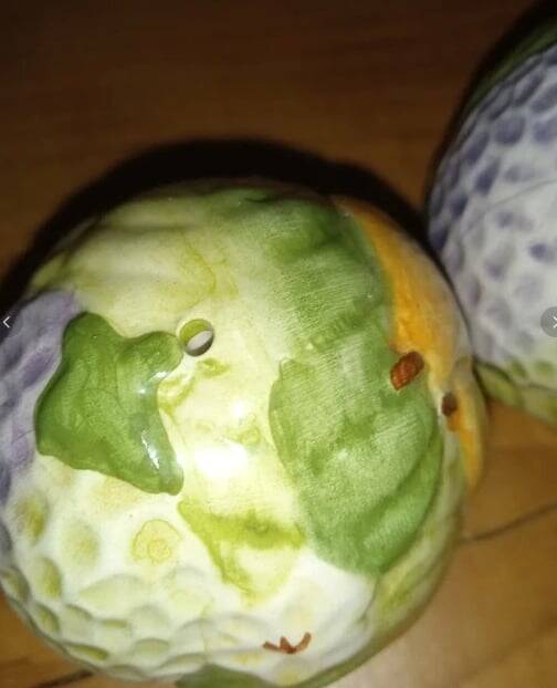 Salt and pepper shakers in earthenware – frugal pattern, 1950s