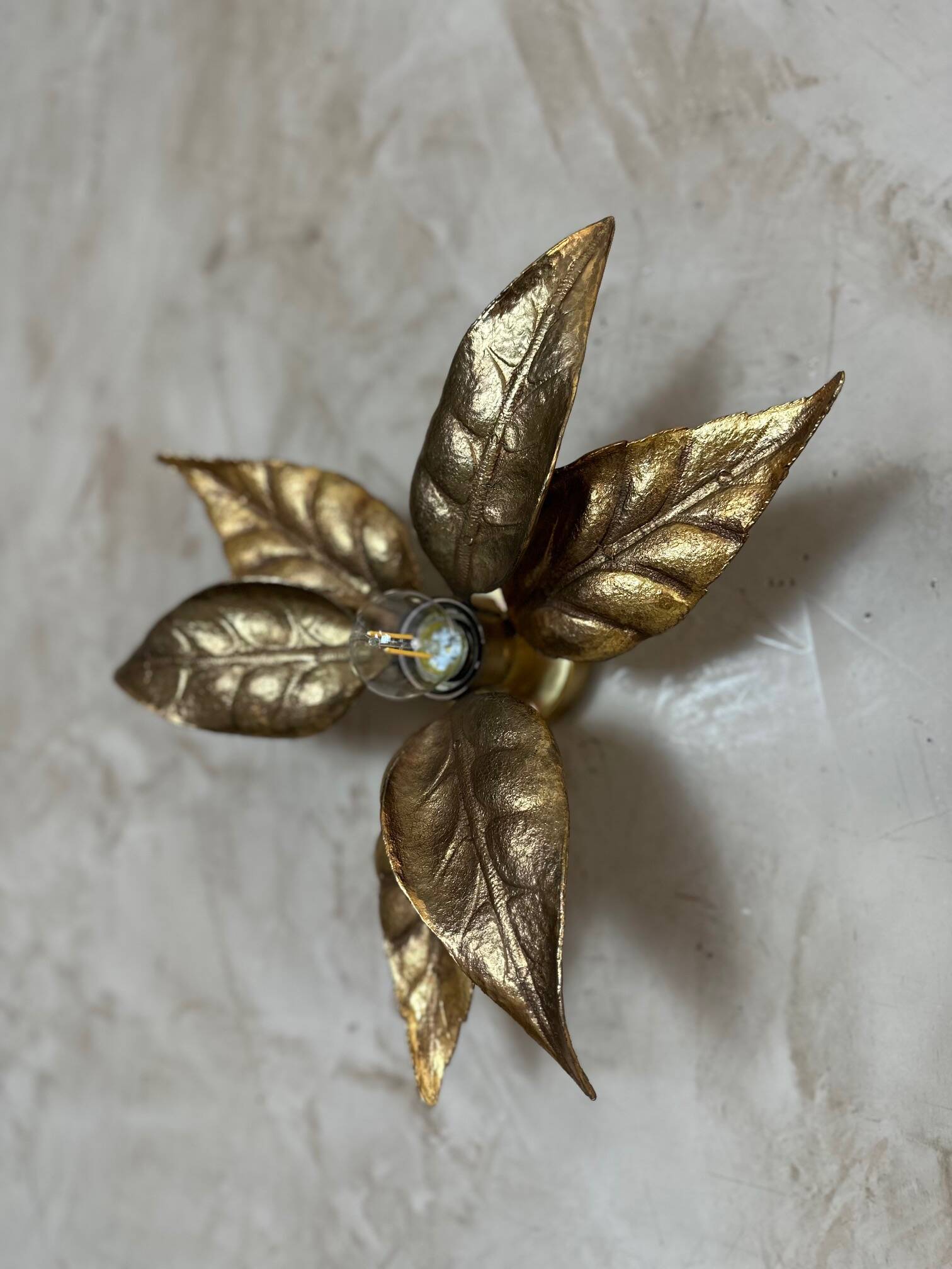 Pair of wall sconces by Willy Daro