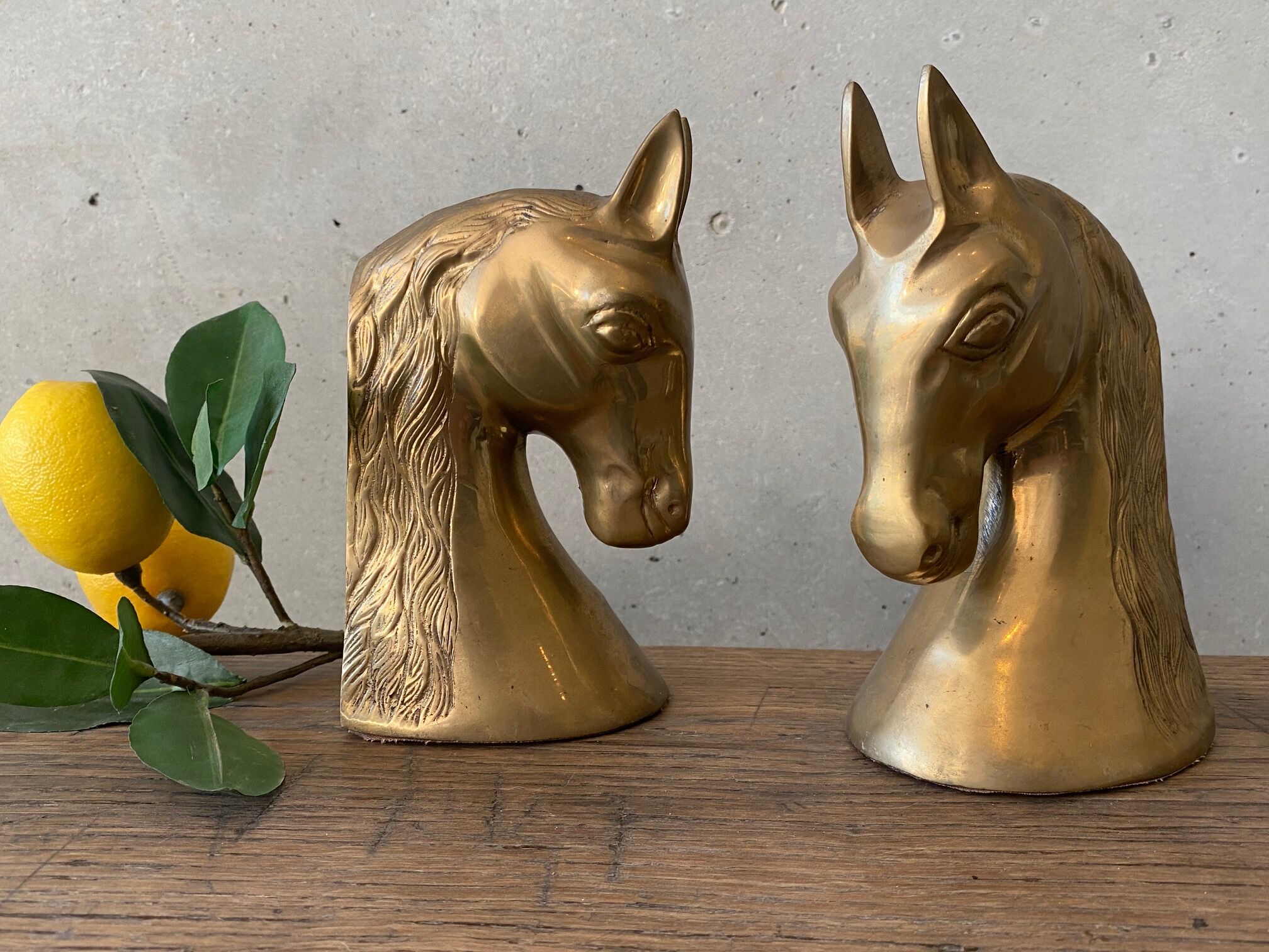 Greenhouse Book Horse