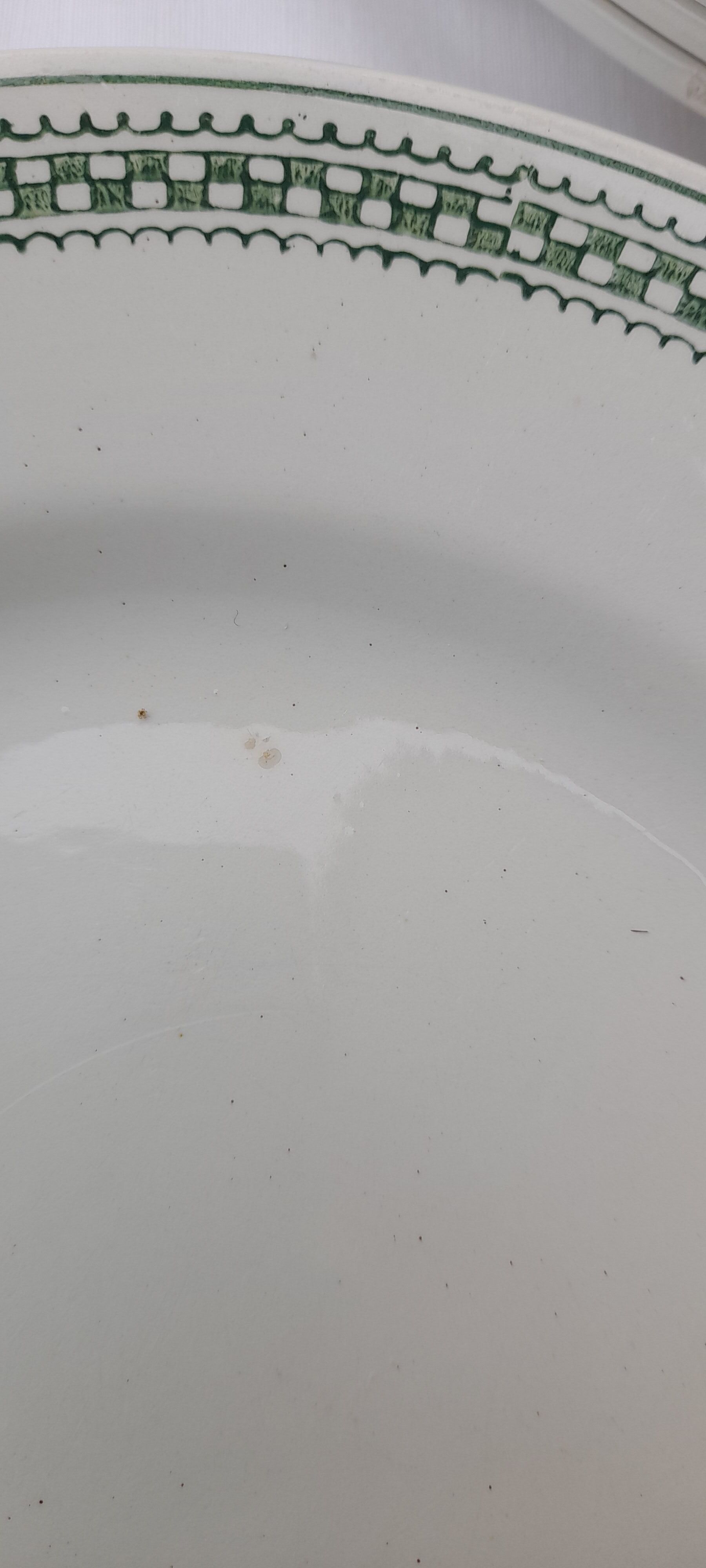 9 plates in earthenware of Saint Amand model 4015 diam 22,5 cm