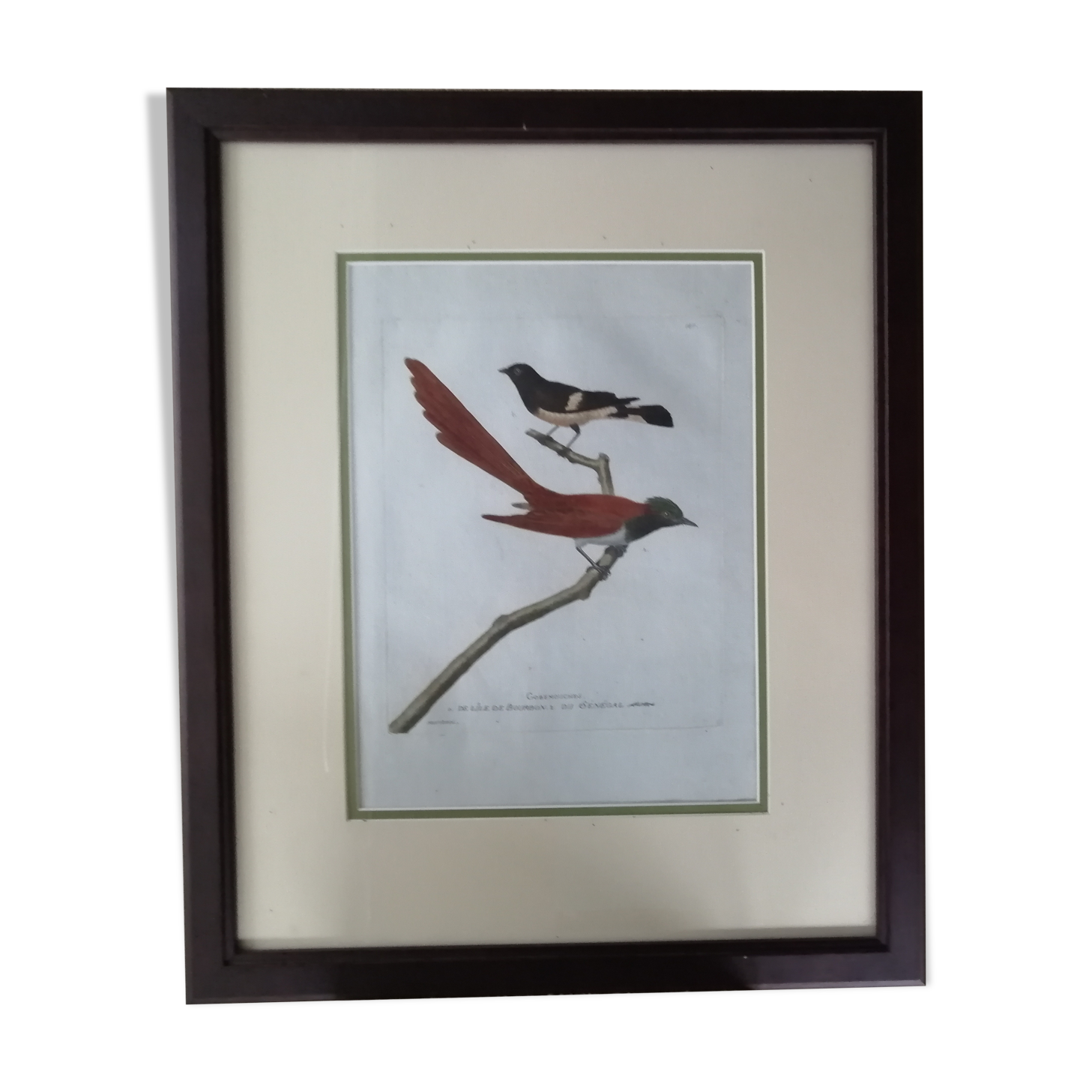 Old framed lithography by Martinet