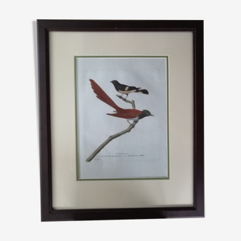 Old framed lithography by Martinet