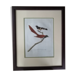 Old framed lithography by Martinet