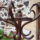 Vintage parrot coat rack