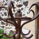 Vintage parrot coat rack