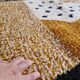 Handwoven Moroccan blessed rug (mrirt), size 150 x 250 cm