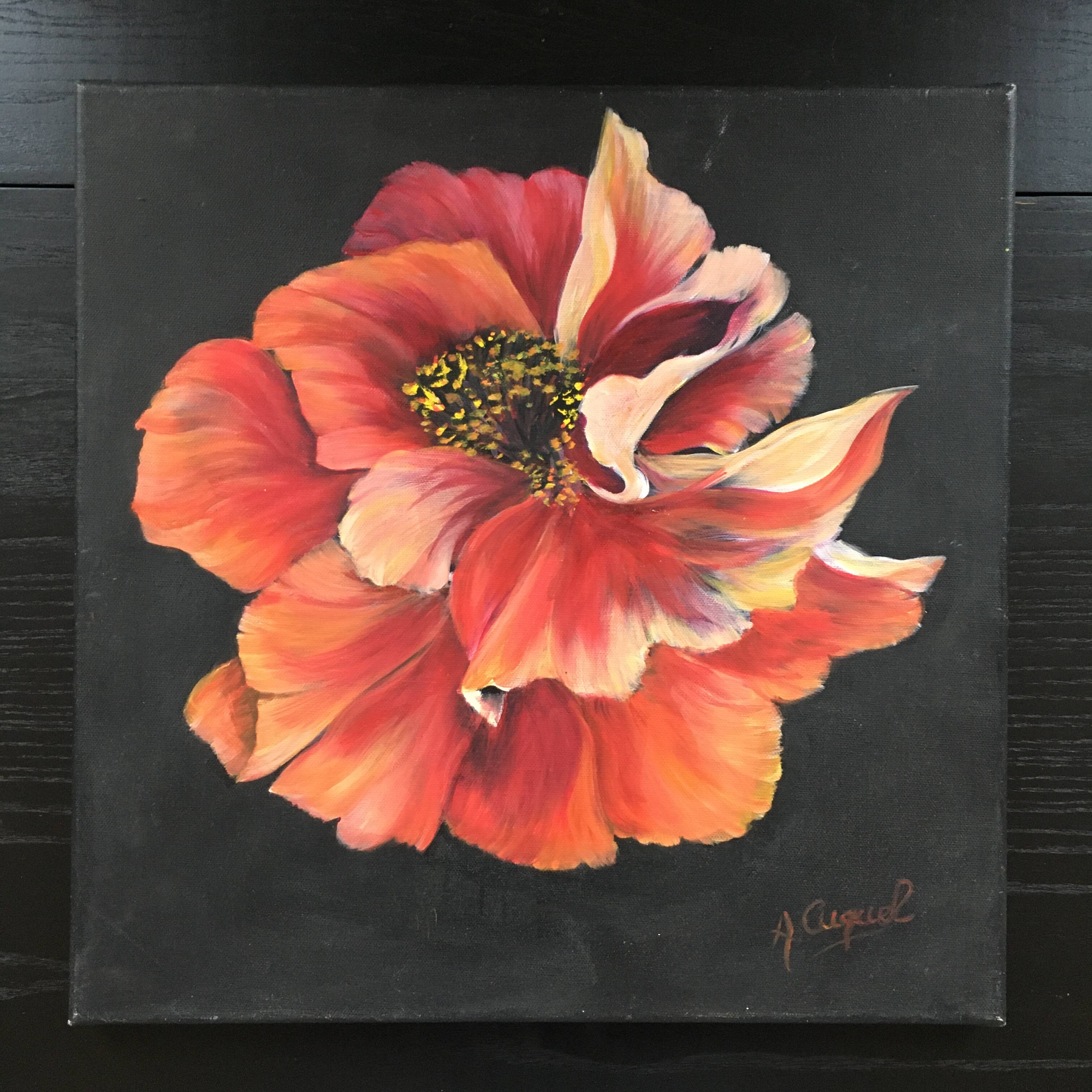 Pink peony painting on black background