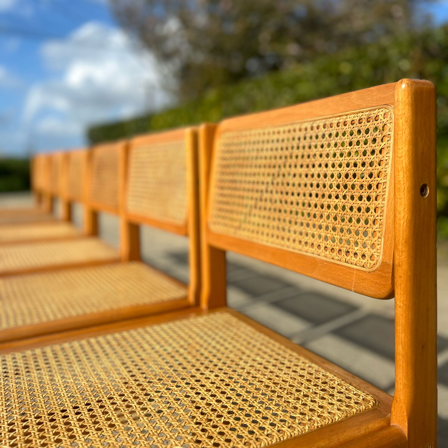 6 canning sled chairs