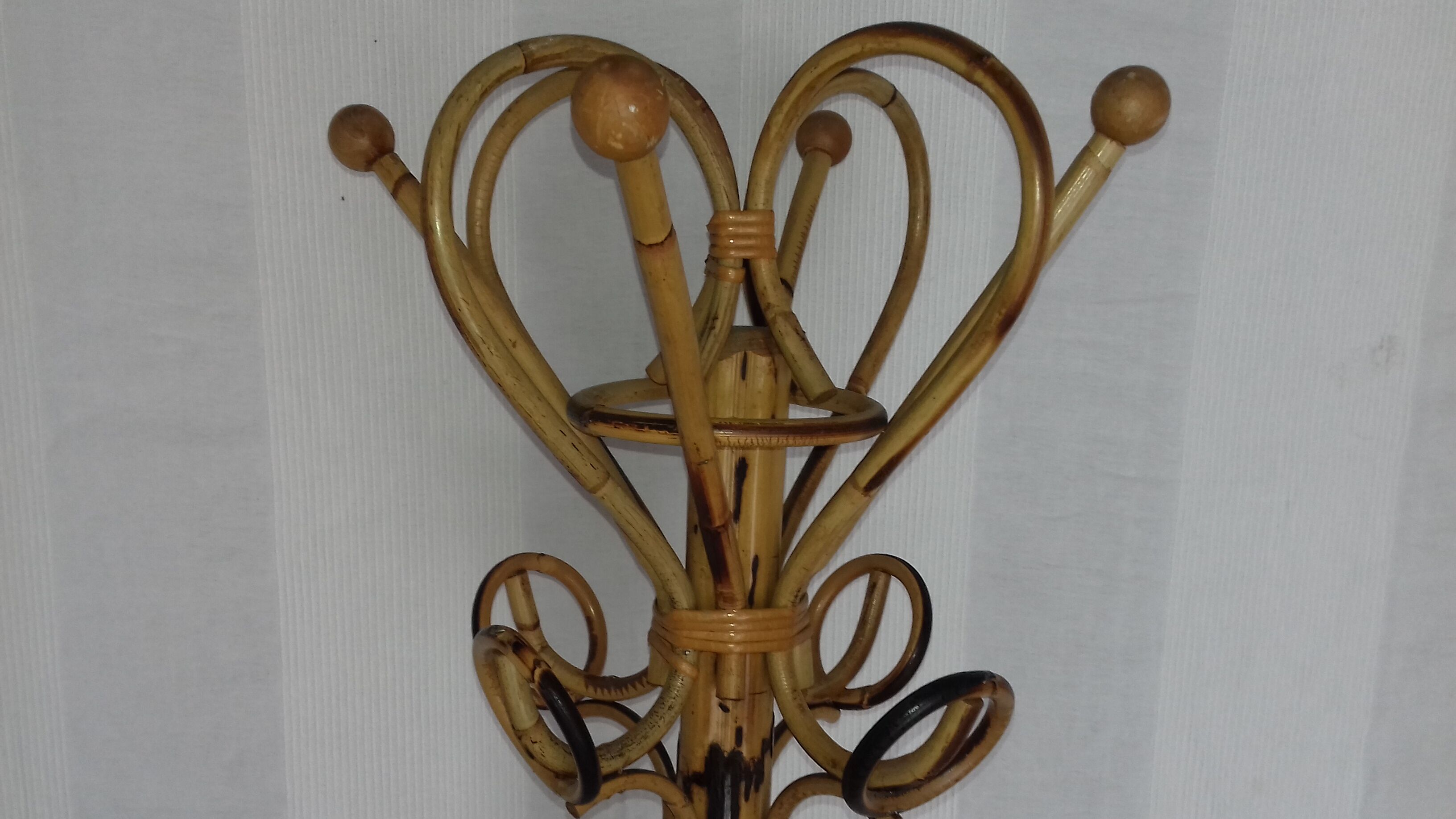 "Parrot" coat holder