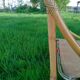 Rattan bed