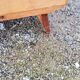 Vintage chest of drawers from the 50s 4 drawers feet compass and mahogany fins