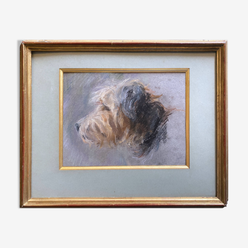 Tableau pastel chien "Portrait de Cairn terrier" et cadre