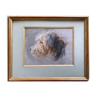 Painting pastel dog "Portrait of Cairn terrier" and frame