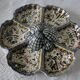 Hand painted ceramic serving display stand with 6 compartments