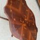Table bass violin