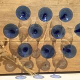 Blue-footed glasses