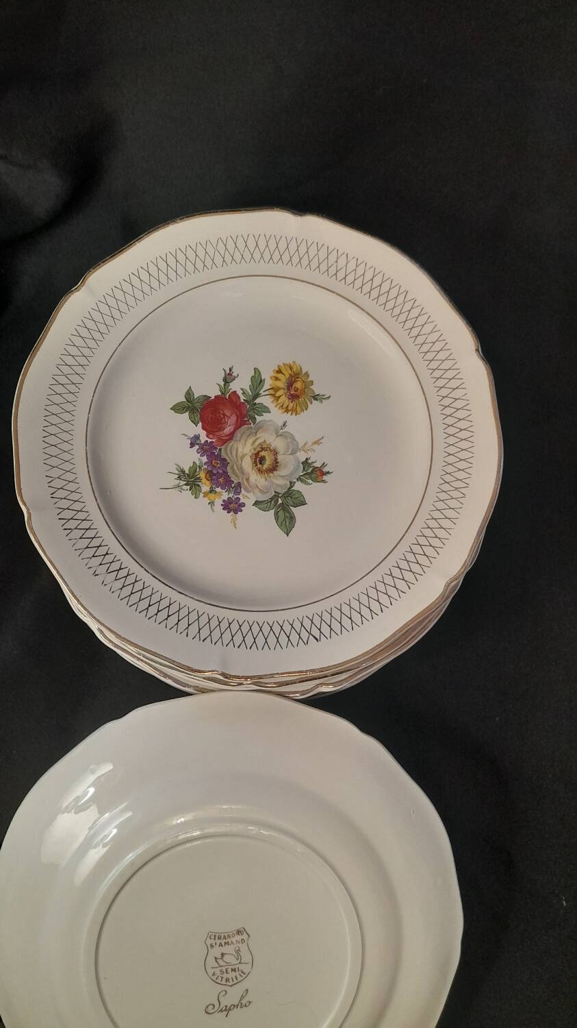 Set of 11 Ceranor St Amand Semi Vitrified Sapho plates