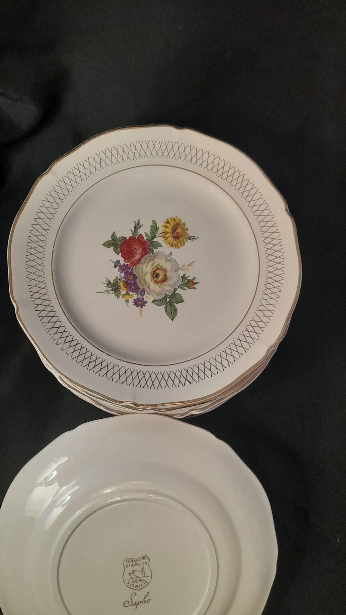 Set of 11 Ceranor St Amand Semi Vitrified Sapho plates