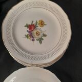 Set of 11 Ceranor St Amand Semi Vitrified Sapho plates