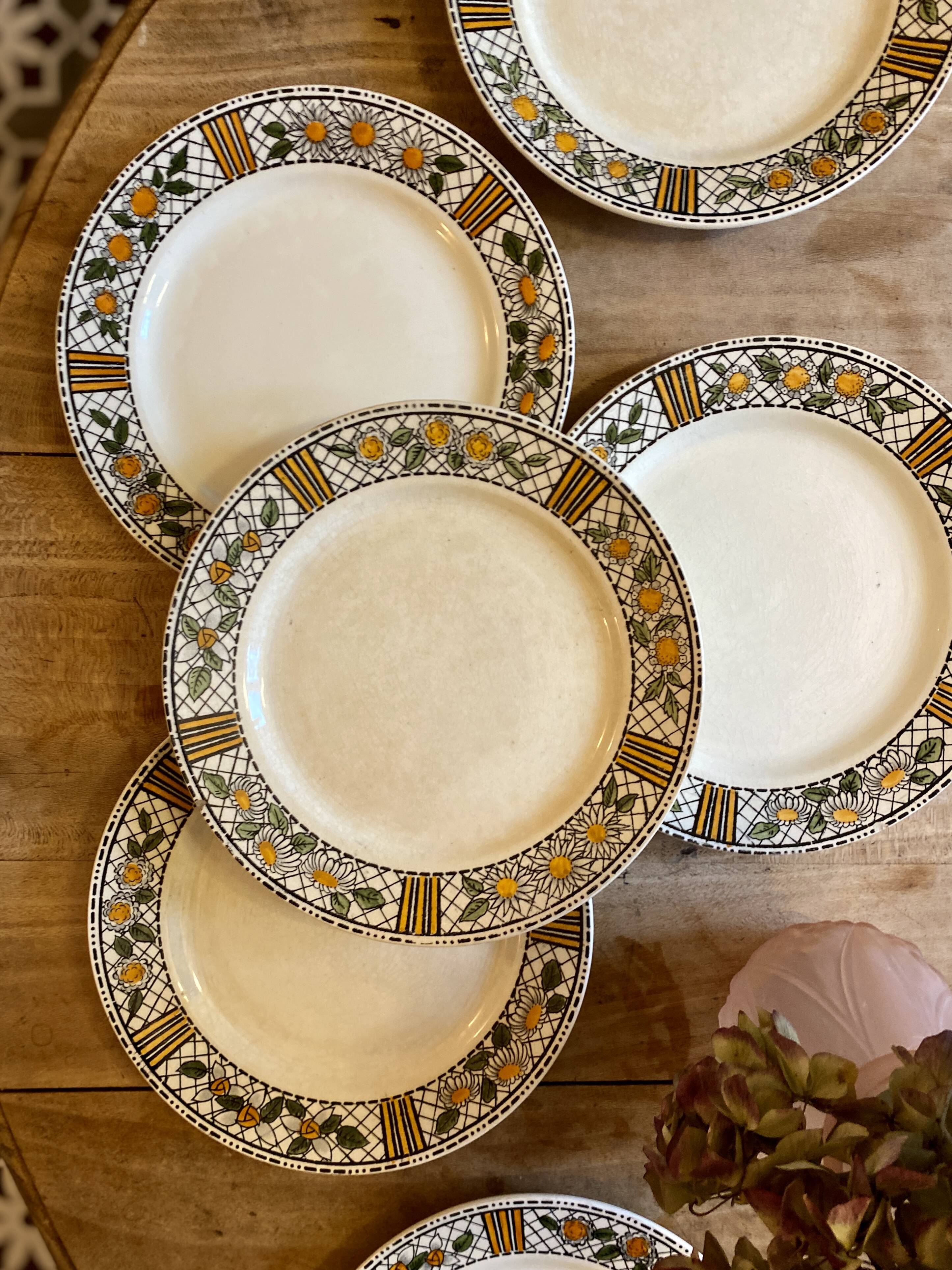 Set of 6 vintage flat plates model Elisabeth from HBCM