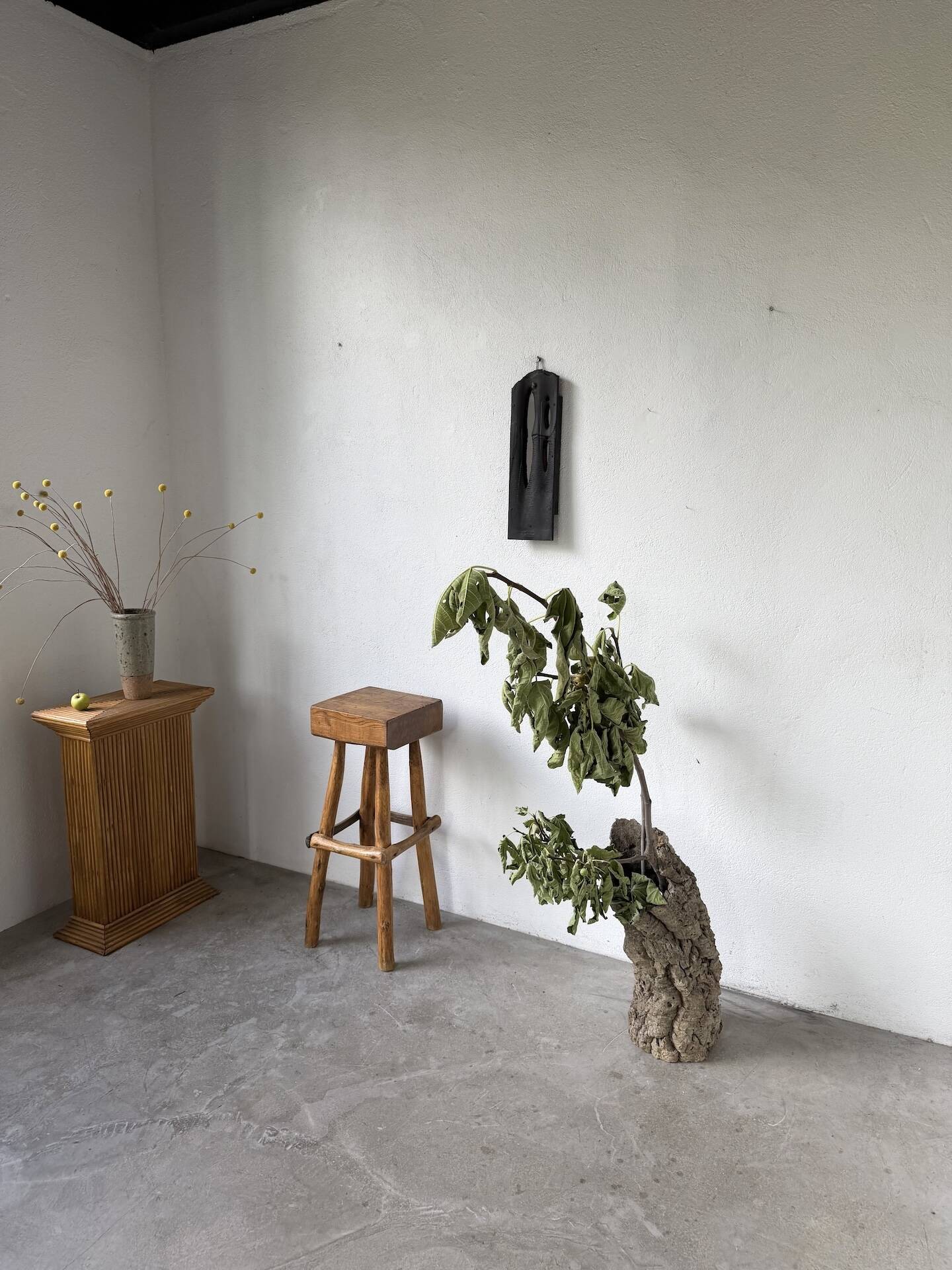 XL cork bark vase
