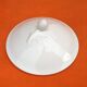 Old tureen White porcelain decorated with oak leaves