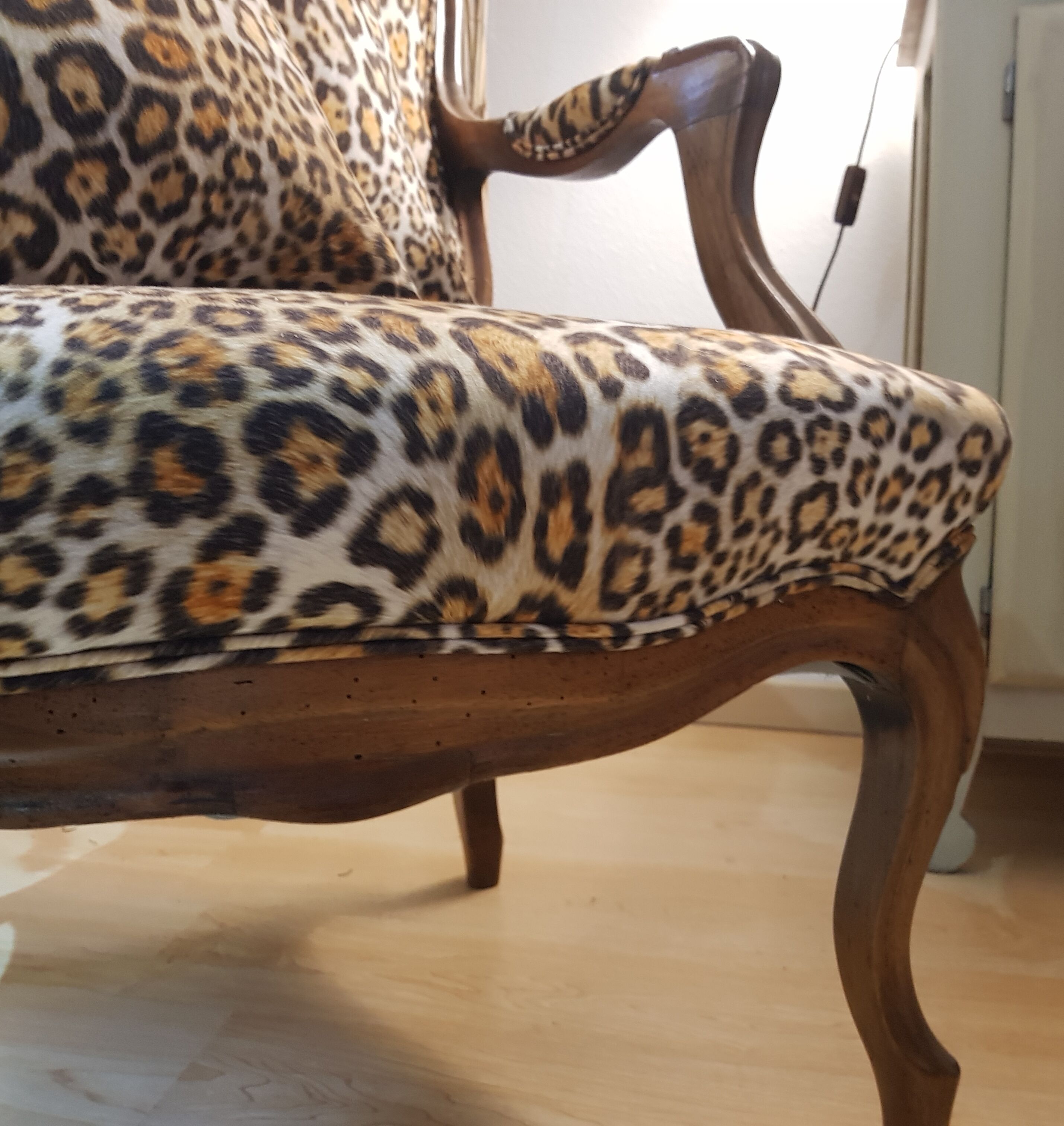 Pair of armchairs Louis-Philippe