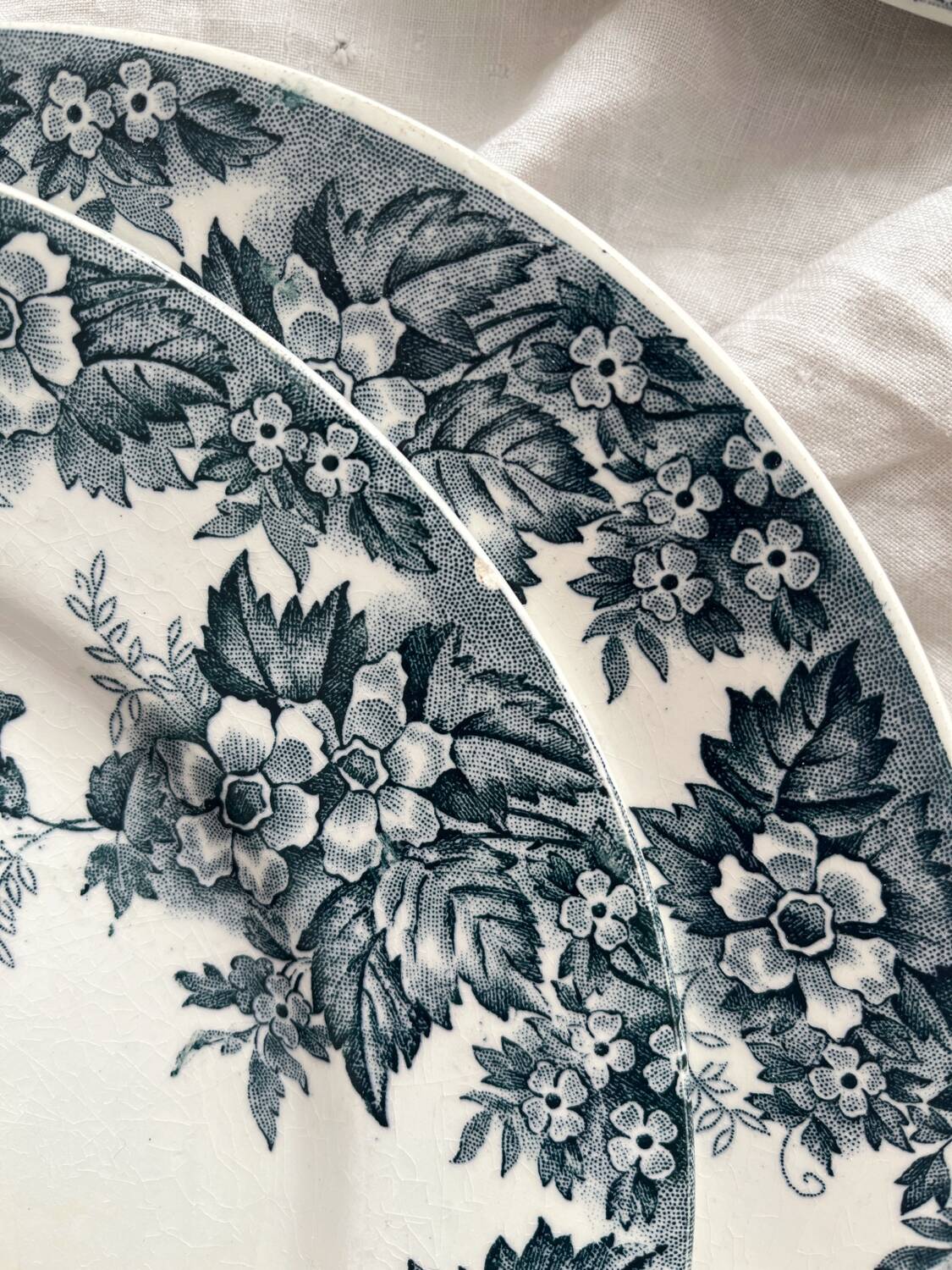 8 flat ironstone plates “Marie Louise” Saint Amand and Hamage